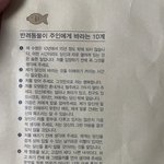 ㅜㅜ <b>울</b><b>집</b> 강아지 아파서 약 받아왔는데