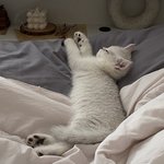우리 바다 보고가세용~!!