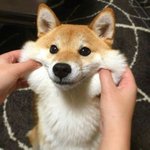 받아라 <b>볼살</b> 공격