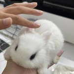 입시미술 하는애들아