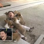 [댓글부탁해] 문과인데 <b>진로</b>가 이과쪽이면