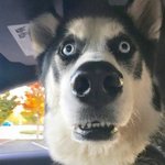 아진짜api조내빡치네아아악<b>티발</b>