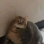 진짜 미안하다..