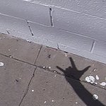 [NCT드림] 진짜 이게 뭘까??