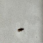 [댓글부탁해] 이거<b>바선생</b>이냐?혐즈외__