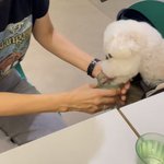 [댓글부탁해] 강아지랑 <b>물컵</b> 공유 정상인가?