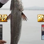 전현무 프로다 프로 ㅋㅋㅋㅋㅋㅋㅋ