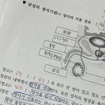 남자 <b>생식</b>기관 왜케 어렵냐