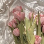 [댓글부탁해] 다들 다이어트 동기<b>부여</b> 어떻게 했어??