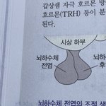 이거 볼때마다 그거 <b>생각남</b>