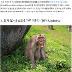 <b>지능</b> 낮은 사람들의 공통적인 특징