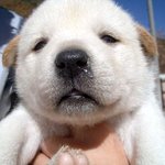 잘 생기면 <b>다야</b>?