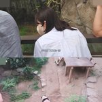 최근 <b>푸바오</b> 성덕된 아이돌들