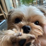 [ZB1] 유진이네는 정말 <b>얼짱</b> 가족이구나