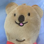 <b>쿼카</b> 이년