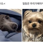 [ZB1] 이거 콩딱<b>즈</b> 얼굴이 보임ㅋㅋㅋㅋ