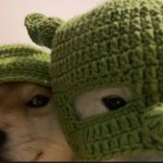 <b>카페</b>알바 외모 많이 보는 편이야?