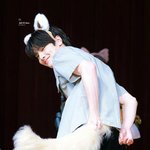 뭐야 '<b>사막</b> 여우'가 여기 있네