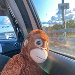 [드루와] 언니랑 나랑 정신과 다닌다