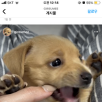 얘들아 <b>기름</b>이 너무 귀엽지않냐