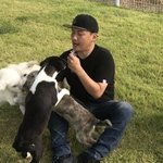 강아지에 대한 <b>애정</b>이 엄청난 것 같은 연예인