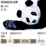 [드루와] <b>크록스</b> 신는 애들 들어와봐