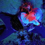 [NCT드림] <b>런지</b>니 목걸이