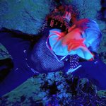 [NCT드림] ....? 런쥔이 트비 옷 이거였음??