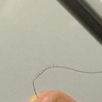 [이것좀봐줘] 나 <b>머리</b>카락에 털났어