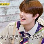 스키즈 <b>승민</b> 덕분에 노래 찾음ㅜㅜㅜ