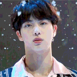 방탄 진 <b>gif</b>