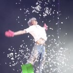 [NCT드림] 셀프 꽃가루 효과 강아지