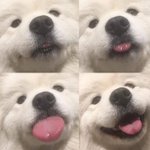 들어오면 <b>후회</b>안하는 글