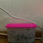 와 비오니까 <b>습기</b> 진짜..