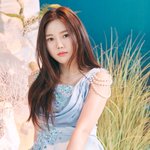 인어공주 그 잡채 같은 오마이걸 새 앨범 컨포