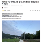 민주 “종점 놔두고 강하IC 만들란 얘기”… 그러면 도로가 L자형...