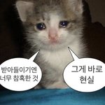 [모두드루와] <b>재수</b>하는데 진짜 가슴 찢어진다