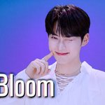 제베원 스춤<b>나오</b>넹