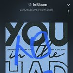 [ZB1] 순위 떨어진다