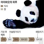 [댓글부탁해] <b>모고</b>얘기뿐이라 재미없는 할미판녀는 나뿐임...?