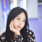 고양이상 모음같은 베르사체 <b>팝업</b> 행사