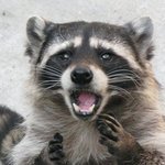 [드루와] 얘들아 씻는거 추반 해봐