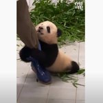 항상 어중간할때 열등감 <b>max</b>인거같음