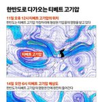 일본 초토화한 장마전선 올라온다…"진짜 장마는 이제 시작"