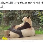 [댓글부탁해] 분위기 싸한..? 애니 추천 좀 해주라ㅠㅠㅠㅠ