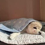 귀염둥이 <b>김봉숙</b>