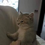 오늘도 열폭