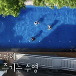 태계<b>일주</b> 기안84 보면서 놀라운 점