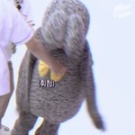 김지웅 <b>바부</b>..