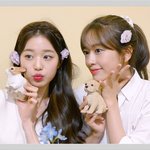 장원영 안유진이 키 185 이랬어도 지금만큼 떴을까
